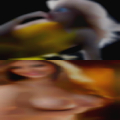 Sluts Springfield